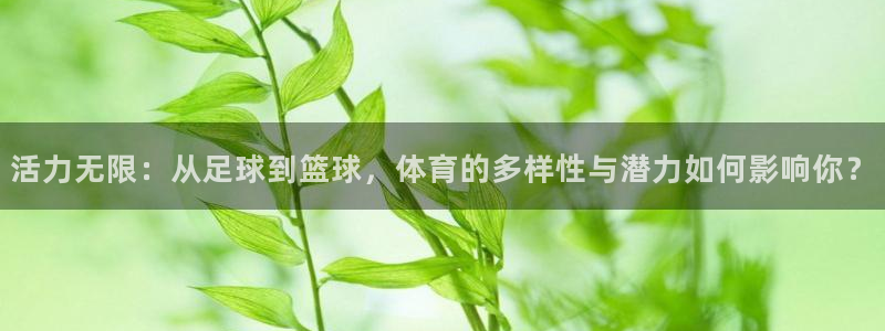 77体育官网：活力无限：从足球到篮球，体育的多样性与潜力如何影响你？