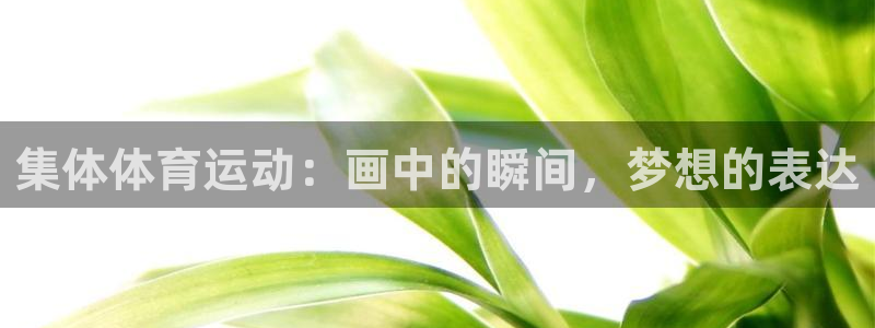 77体育官网：集体体育运动：画中的瞬间，梦想的表达