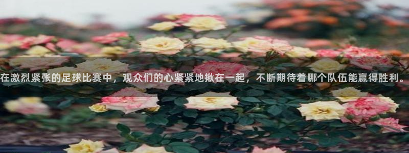  vsport体育平台app：在激烈紧张的足球比赛中，观众们的