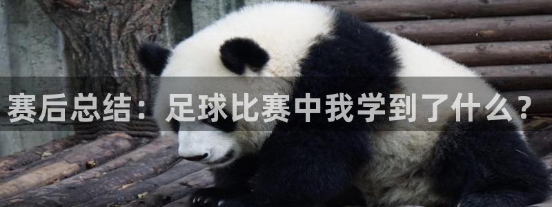vsport体育平台app：赛后总结：足球比赛中我学到了什么